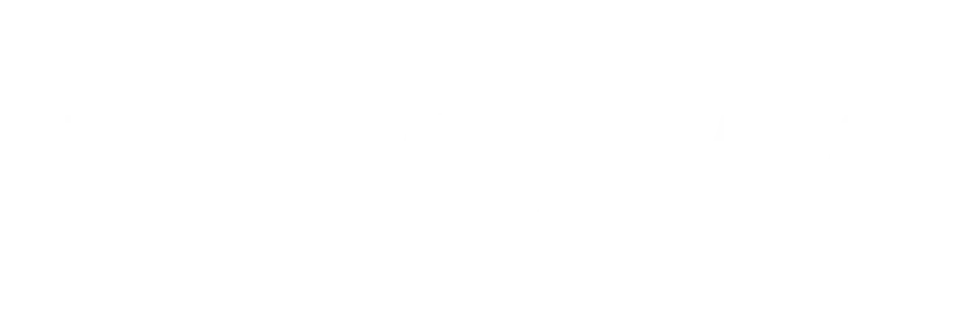 Logo_Flow_Branco (2)